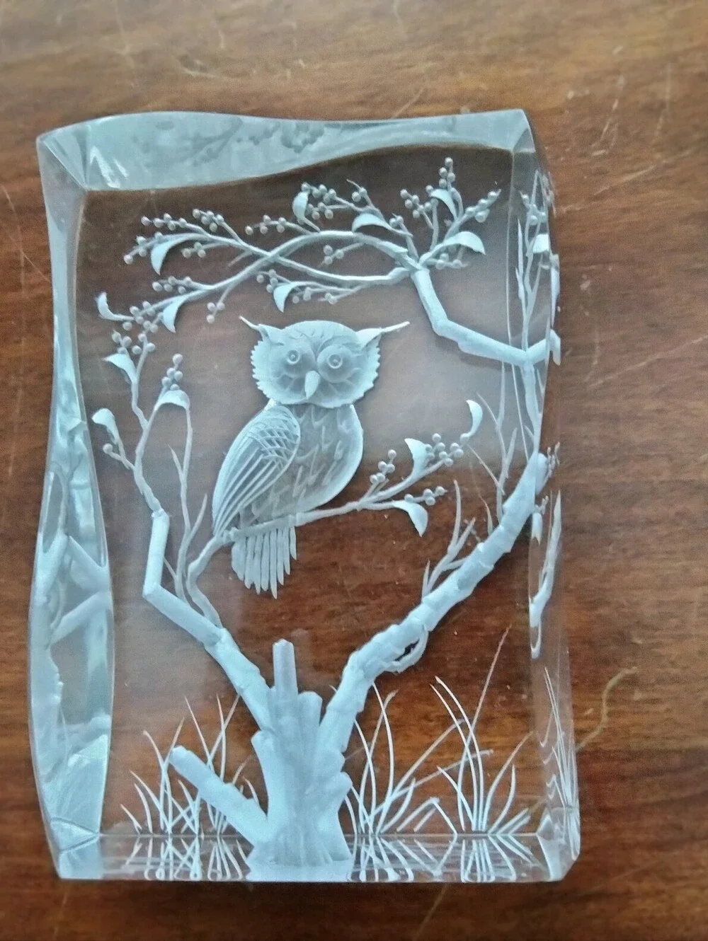 Clear Glass Owl Decorative Paperweight - Clear